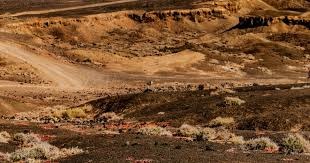 CBA综述：广东复仇广厦 辽宁力克上海 青岛大胜新疆 北京险胜同曦